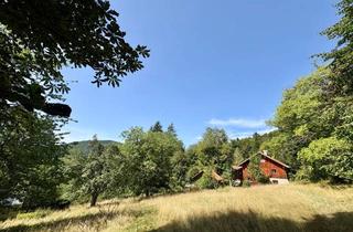Haus kaufen in 94551 Lalling, Ca. 45000 m² Freiheit ! Hier sagen sich Fuchs und Hase gute Nacht !