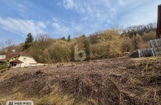 Grundstück zu kaufen in 92367 Pilsach, Pilsach - WO WOHNTRÄUME WAHR WERDEN