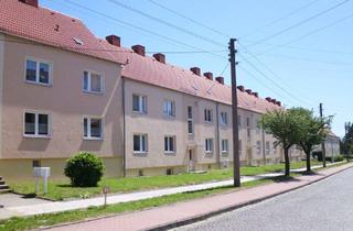 Wohnung mieten in Weinbergstraße 44, 04838 Eilenburg, ruhige 2-Raum-Wohnung im Stadtgebiet Eilenburg-Berg
