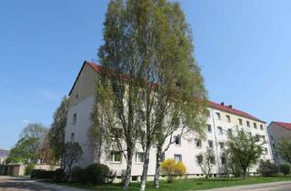 Wohnung mieten in Am Langen Hacken 17, 03238 Finsterwalde, Neu renovierte 3,5-Raumwohnung mit Kraxelbonus