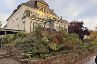 Wohnung mieten in 34131 Bad Wilhelmshöhe, Hochwertig renovierte Erdgeschosswohnung am Mulang - 157 m², Wintergarten, Terrasse & 2 Bäder