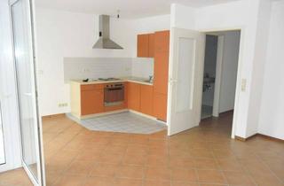 Wohnung mieten in Wingertstr. 24, 69207 Sandhausen, Ab 1.12.2026 in Sandhausen, Einzimmerwohnung EBK und Balkon zu vermieten