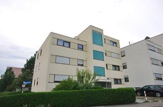 Wohnung mieten in Ahornstraße, 75382 Althengstett, gemütliche 3-Zimmer Wohnung mit Balkon