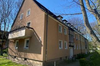 Wohnung mieten in 45896 Scholven, Nienkampstraße 6, helle 1 Raum Wohnung im 1. OG
