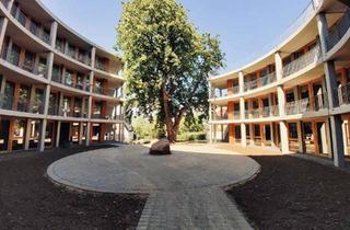 Wohnung mieten in Großdornberger Straße, 33619 Großdornberg, Mikro-Apartment im Grünen (kurze Wege zur UNI) Möbliert!