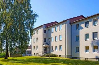 Wohnung mieten in Ostpreußenstraße 10, 32839 Steinheim, Renoviert ab sofort gesucht?
