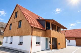 Wohnung mieten in 89407 Dillingen, Wohnen mit Charakter: 4-Zimmer-Neubau in Fristingen