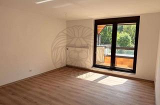 Wohnung mieten in 65582 Diez, Sanierte 2-Zimmerwohnung in hellem Wohnambiente