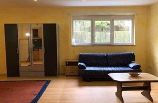 Wohnung mieten in Konrad-Adenauer-Ring, 68723 Plankstadt, Neuwertige Wohnung mit einem großen Zimmer und EBK in Plankstadt befristet bis 30.09.2022