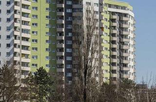 Wohnung mieten in Senftenberger Ring 90, 13435 Wittenau, Zweiraumwohnung im MV
