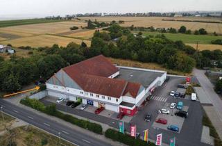 Immobilie mieten in 99955 Bad Tennstedt, ***Seniorengerechte 2 Zimmer Wohnung in ruhiger Lage am REWE-Markt***