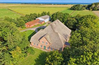 Haus kaufen in 25870 Norderfriedrichskoog, Haubarg & Meer"Thiesenhof"