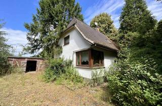 Einfamilienhaus kaufen in 27616 Beverstedt, Einfamilienhaus mit großem Grundstück