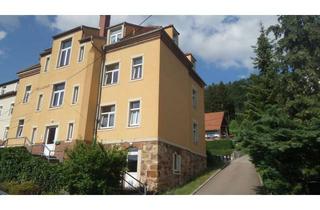 Haus kaufen in Molchgrund 43, 01744 Schmiedeberg, Vermietetes 6-Familienhaus am Südhang in Schmiedeberg