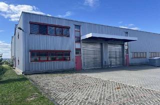 Gewerbeimmobilie mieten in 07552 Bieblach-Ost, Helle beheizbare Halle mit Tageslicht, ebenerdig zu befahren