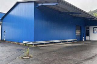 Gewerbeimmobilie mieten in Pfennigbreite, 37671 Höxter 44, 37671 Höxter, Industriehalle mit Freifläche in Höxter
