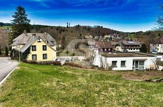 Gewerbeimmobilie mieten in 79853 Lenzkirch, 400 m² Grundstück + Lager-/Werkstatt- oder Atelierfläche