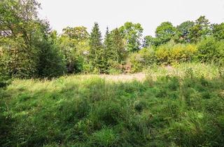 Grundstück zu kaufen in 37444 St. Andreasberg, Braunlage-Sankt Andreasberg: Idyllisches Grundstück für Ferienhäuser!