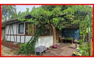 Grundstück zu kaufen in 71706 Markgröningen, Tolles Grundstück mit gemauertem Gartenhaus sucht grünen Daumen