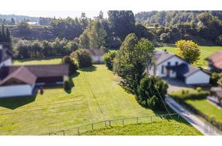 Grundstück zu kaufen in 86981 Kinsau, Sonniges Baugrundstück in naturnaher Randlage von Kinsau!