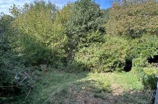 Grundstück zu kaufen in 69151 Neckargemünd, Großes besondere Grundstück in Neckargemünd zu verkaufen
