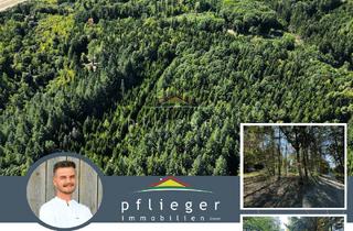 Gewerbeimmobilie kaufen in 94474 Vilshofen, 4 ha Forstfläche mit ehemaliger Christbaumplantage