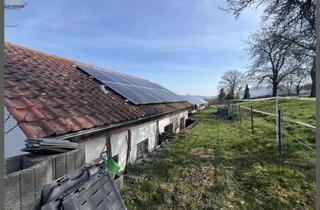 Gewerbeimmobilie kaufen in 73105 Dürnau, Loftprojekt oder Wohnen & Arbeiten – entkerntes Haus mit großem Grundstück