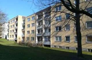 Wohnung mieten in Halberstädter Straße 63, 32049 Herford, 3 Zimmer Wohnung in Herford
