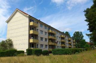 Wohnung mieten in Ringstraße 21, 16831 Rheinsberg, schöne 2Raum Wohnung in ruhiger Lage