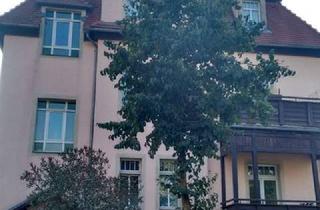 Wohnung mieten in Wilder-Mann-Straße 42d, 01129 Trachau, Wohnen mit Charakter: Saniertes Dachgeschoss in Dresden-Trachau