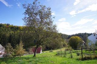 Haus kaufen in 88634 Herdwangen-Schönach, Naturliebhaber aufgepasst - Grundstück mit Bestand zu verkaufen