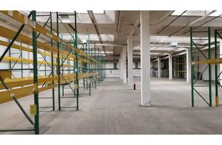 Gewerbeimmobilie mieten in Industriestraße 45, 41844 Wegberg, Geräumige Lagerhalle mit Hochregalen