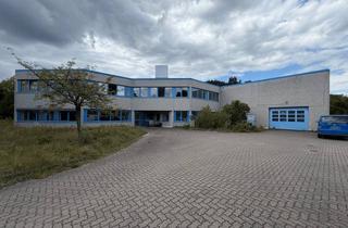Gewerbeimmobilie mieten in 22946 Trittau, Ca. 1.000 m² ebenerdige Lagerhalle mit 6 m Deckenhöhe – auch ideal für Fitnesskonzepte