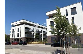 Penthouse mieten in 69126 Heidelberg, Penthouse mit 2 Dachterrassen | Campbell, Heidelberg | Sofortbezug | 2 TG-Stellplätze