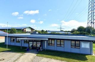 Gewerbeimmobilie kaufen in 23919 Berkenthin, Vielseitige Gewerbeimmobilie mit Büro, Präsentation, Produktion & Lager auf ca 407 m²