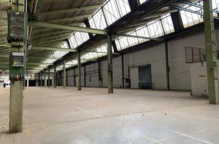 Geschäftslokal mieten in 95145 Oberkotzau, Kaltlagerhallen Gfl. ca. 13.400 m² in 95145 Oberkotzau - Laderampen, ebenerdige Zufahrt - teilbar ab ca. 4.000 m²