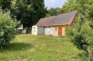 Einfamilienhaus kaufen in 06386 Osternienburger Land, Osternienburger Land - Verkaufe Haus mit Garten Grundstück Mietkauf Ratenkauf Kauf