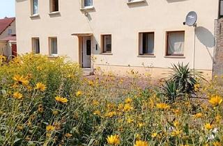 Bauernhaus kaufen in 06729 Elsteraue, Elsteraue - Dreiseiten-Bauernhof mit Wohnhaus und Grundstück 3967 m²,ruhige L