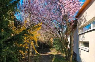 Einfamilienhaus kaufen in 39291 Möckern, Möckern - Einfamilienhaus im Bungalow-Stil in traumhafter Lage in Lostau