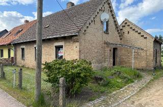 Haus kaufen in 19386 Lübz, Lübz - Liebhaberhaus mit idyllischem Grundstück von privat zu verkaufen!