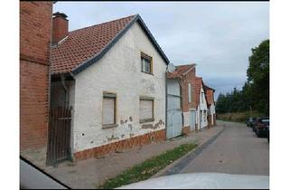 Haus kaufen in 06556 Artern, Artern - Haus mit Nebengelass