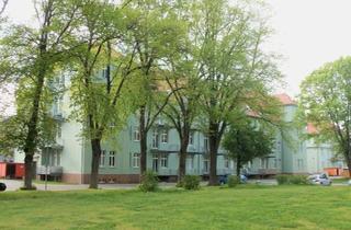 Wohnung kaufen in 39110 Magdeburg, Magdeburg - 2 Raum-Wohnung, 58 m², Westseite - mit Terrasse im schönen Park