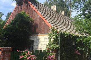 Haus kaufen in 16259 Bad Freienwalde, Bad Freienwalde (Oder) - Haus mit großem Garten in Oderbruch. Alleinlage.