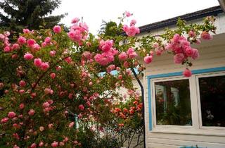 Einfamilienhaus kaufen in 16348 Wandlitz, Wandlitz - Idyllisches Einfamilienhaus in Bungalowstil mit Rosengarten