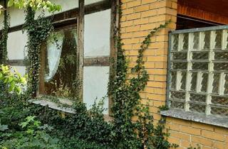 Haus kaufen in 15320 Neuhardenberg, Neuhardenberg - Natur pur idyllisches Eigentumsgrundstück