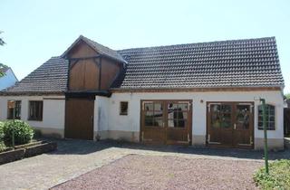 Einfamilienhaus kaufen in 39167 Niederndodeleben, Hohe Börde - Einfamilienhaus mit großem Nebengebäude