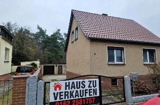 Haus kaufen in 04928 Plessa, Plessa - Haus und Grundstück