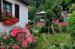 Einfamilienhaus kaufen in 07973 Greiz, Greiz - gepflegtes Einfamilienhaus mit Garten - autarke ALLEINLAGE