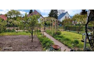 Haus kaufen in 17192 Waren, Waren (Müritz) - Garten zu verkaufen