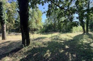 Grundstück zu kaufen in 90607 Rückersdorf, Großzügiges Baugrundstück mit Fernblick Rückersdorf Strengenberg
